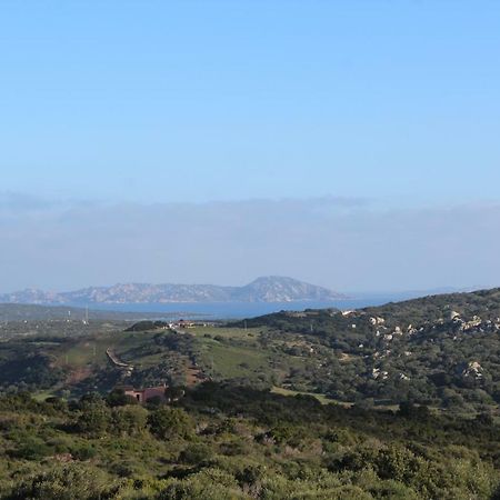 Appartamento L'Albero Magico Nella Campagna Gallurese Santa Teresa Gallura Eksteriør bilde