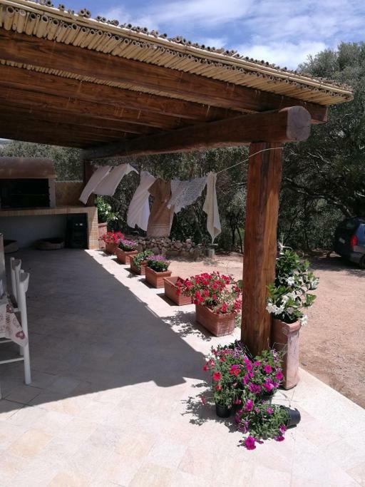 Appartamento L'Albero Magico Nella Campagna Gallurese Santa Teresa Gallura Eksteriør bilde