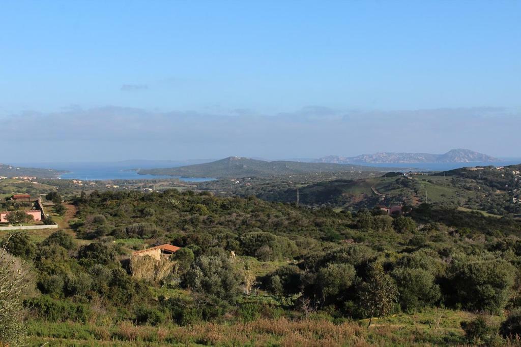 Appartamento L'Albero Magico Nella Campagna Gallurese Santa Teresa Gallura Eksteriør bilde