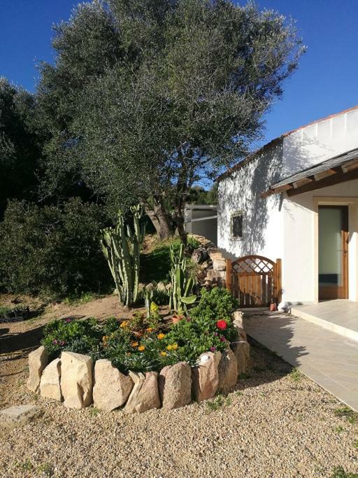 Appartamento L'Albero Magico Nella Campagna Gallurese Santa Teresa Gallura Eksteriør bilde
